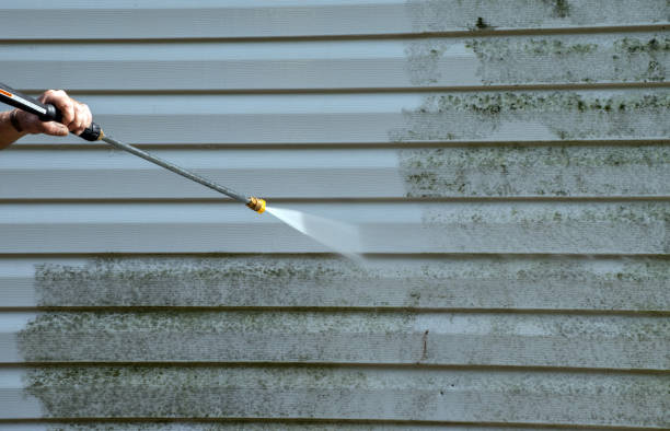 Best Sidewalk and Walkway Pressure Cleaning in Fox Lake, WI