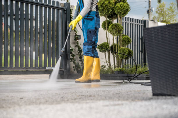 Best Roof Cleaning and Mildew Removal in Fox Lake, WI